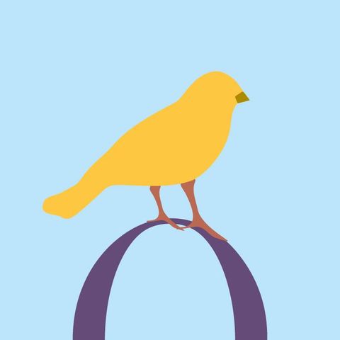 Pizzer&Atilde;&shy;a-Escuela "La Ecol&Atilde;&sup3;gica"