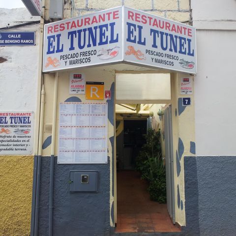 El T&Atilde;&ordm;nel