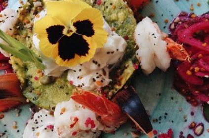 Panza De Burro Gastrotasca