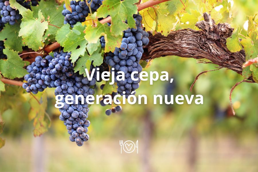 Vieja Cepa, generación nueva