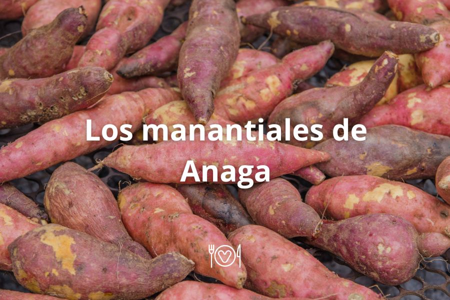 Los ñames de Anaga